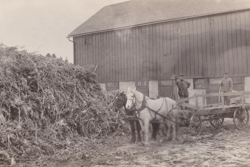 History City of Eitzen, Minnesota